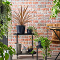 KLOTLÖNN Plant pot with saucer, in/outdoor/grey/beige, 9 cm