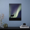 PJÄTTERYD Picture, reindeer and aurora borealis, 50x70 cm