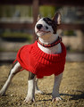 Zolux Dog Sweater Legend T40 40cm, red