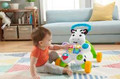 Fisher-Price® Learn with Me Zebra Walker DLD80 6m+