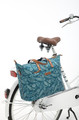 Newlooxs Bicycle Bag Shoulder Bag Forest Tendo, blue