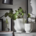 DRÖMSK Plant pot, white, 9 cm