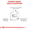 Royal Canin Veterinary Diet Renal Small Dog Dry Food 1.5kg