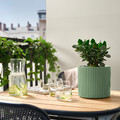 DAKSJUS Plant pot, light green, 15 cm