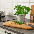 KÖRSBÄRSBJÖRK Plant pot, light grey/beige, 12 cm