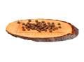 Carnilove Dog Food Salmon & Turkey Puppy 1.5kg