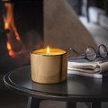 GOKVÄLLÅ Scented candle in glass, 50 hr