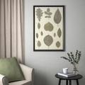 BILD Poster, botanic leaves collection, 61x91 cm