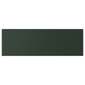 HAVSTORP Drawer front, deep green, 60x20 cm