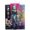 MONSTER HIGH® FRANKIE STEIN™ Doll HXH73 4+