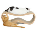MyKotty Scratcher Lui, brown