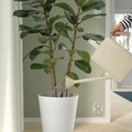 SALLADSKÅL Watering can, in/outdoor beige, 9 l