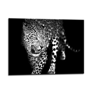 Picture Glasspik Leopard 70x100cm