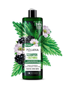 HERBAPOL Shampoo & Conditioner 2in1 Blackberry, Nettle & Menthol 400ml