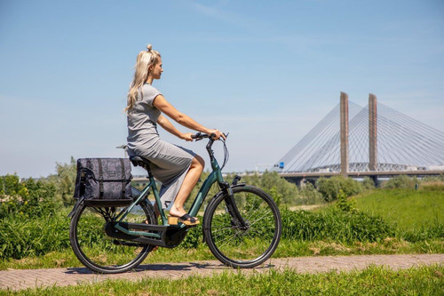 Newlooxs Bicycle Bag Bamboo Alba Double, black