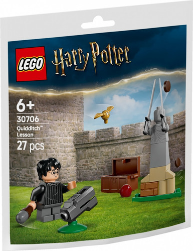 LEGO Harry Potter Quidditch Lesson 6+