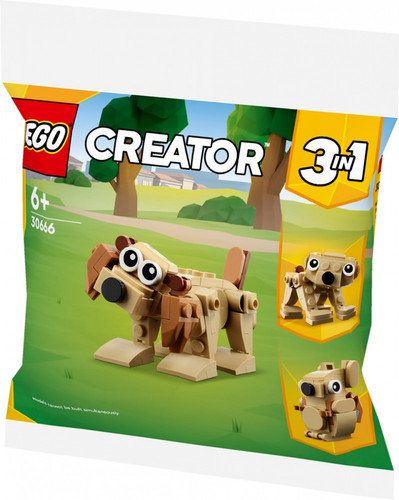 LEGO Creator Gift Animals 3 in 1 6+