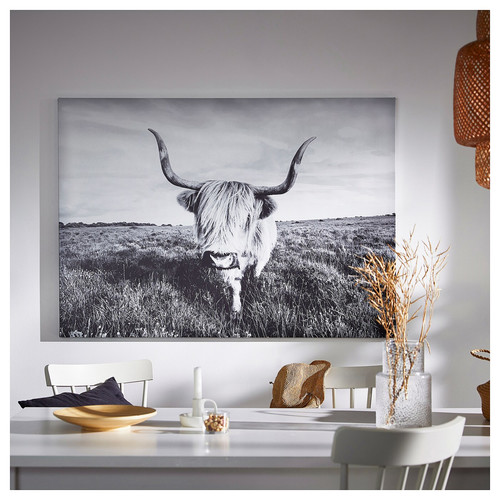 BJÖRKSTA Picture with frame, curious cow/aluminium-colour, 140x100 cm