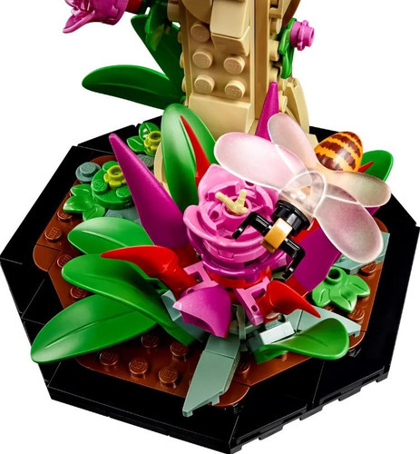LEGO Ideas The Insect Collection 18+