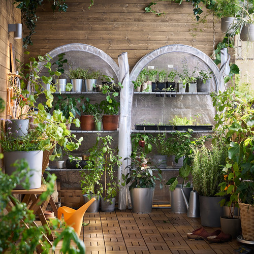 ASPAREN Greenhouse, transparent white, 95x32x162 cm