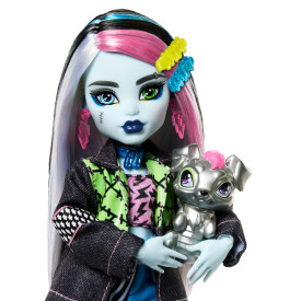 MONSTER HIGH® FRANKIE STEIN™ Doll HXH73 4+